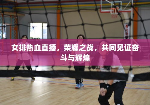 女排熱血直播，榮耀之戰(zhàn)，共同見(jiàn)證奮斗與輝煌