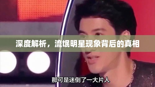深度解析，流氓明星現(xiàn)象背后的真相