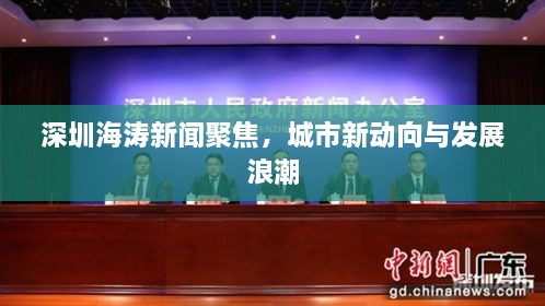 深圳海濤新聞聚焦，城市新動(dòng)向與發(fā)展浪潮