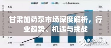 甘肅加藥泵市場深度解析，行業(yè)趨勢、機遇與挑戰(zhàn)