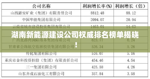 湖南新能源建設公司權威排名榜單揭曉！