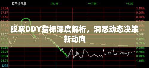 股票DDY指標(biāo)深度解析，洞悉動態(tài)決策新動向