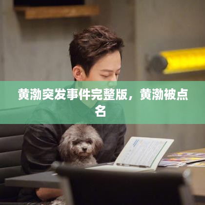 黃渤突發(fā)事件完整版，黃渤被點名 