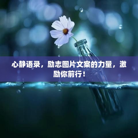 心靜語錄，勵(lì)志圖片文案的力量，激勵(lì)你前行！