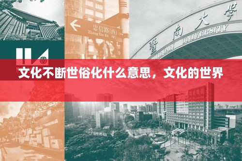 文化不斷世俗化什么意思，文化的世界 