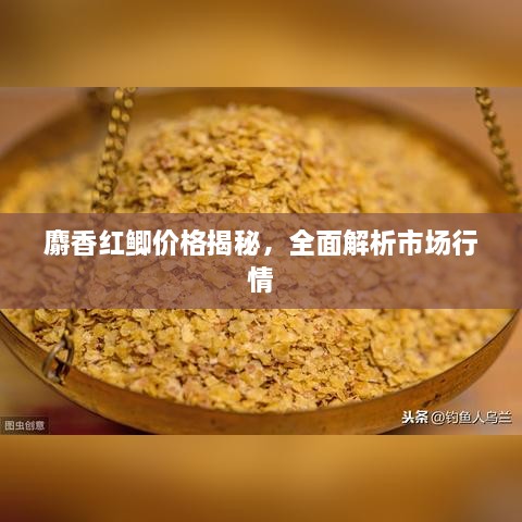 麝香紅鯽價格揭秘，全面解析市場行情