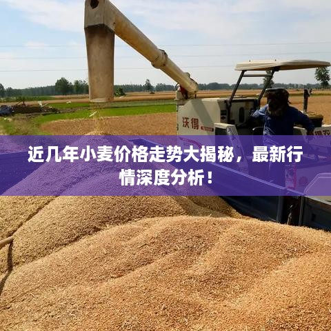 近幾年小麥價(jià)格走勢(shì)大揭秘，最新行情深度分析！