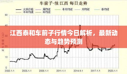江西泰和車前子行情今日解析，最新動態(tài)與趨勢預(yù)測