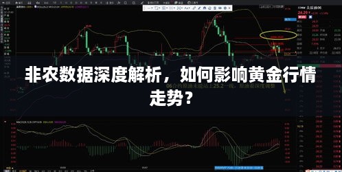 非農(nóng)數(shù)據(jù)深度解析，如何影響黃金行情走勢？