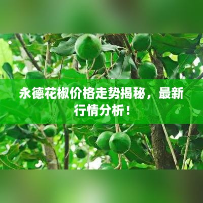 永德花椒價格走勢揭秘，最新行情分析！