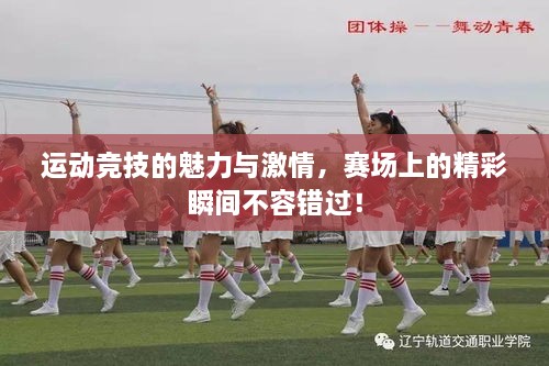運(yùn)動(dòng)競(jìng)技的魅力與激情，賽場(chǎng)上的精彩瞬間不容錯(cuò)過(guò)！