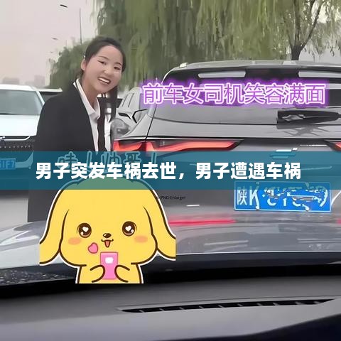 男子突發(fā)車禍去世，男子遭遇車禍 