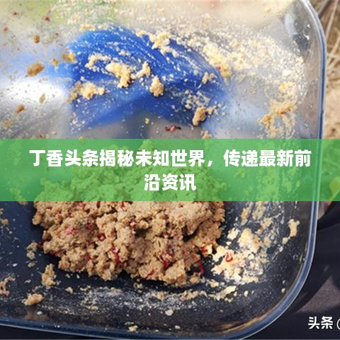丁香頭條揭秘未知世界，傳遞最新前沿資訊
