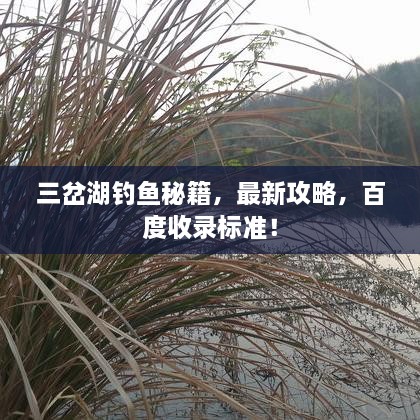 三岔湖釣魚秘籍，最新攻略，百度收錄標準！
