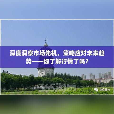 深度洞察市場(chǎng)先機(jī)，策略應(yīng)對(duì)未來趨勢(shì)——你了解行情了嗎？