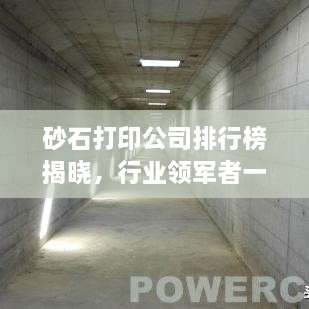 砂石打印公司排行榜揭曉，行業(yè)領(lǐng)軍者一覽
