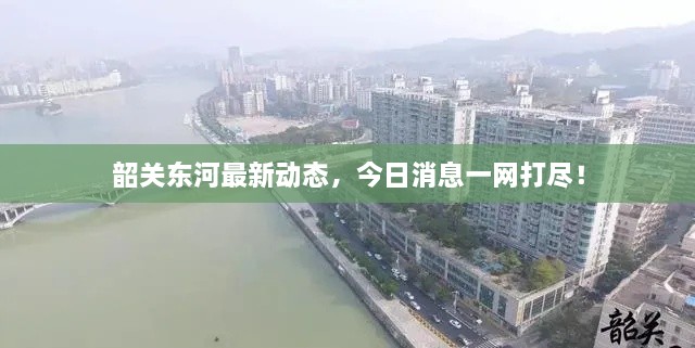 韶關(guān)東河最新動(dòng)態(tài)，今日消息一網(wǎng)打盡！