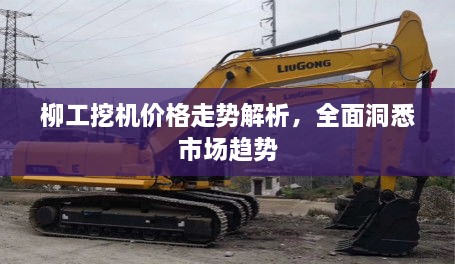柳工挖機價格走勢解析，全面洞悉市場趨勢