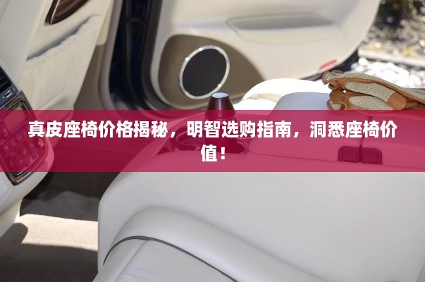 真皮座椅價格揭秘，明智選購指南，洞悉座椅價值！
