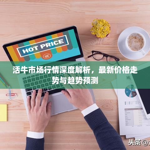 活牛市場(chǎng)行情深度解析，最新價(jià)格走勢(shì)與趨勢(shì)預(yù)測(cè)