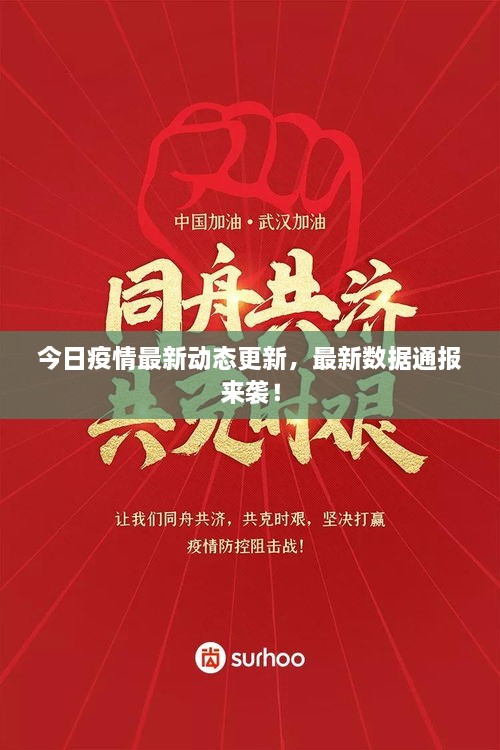今日疫情最新動態(tài)更新，最新數(shù)據(jù)通報來襲！