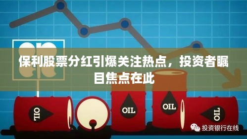 保利股票分紅引爆關(guān)注熱點(diǎn)，投資者矚目焦點(diǎn)在此