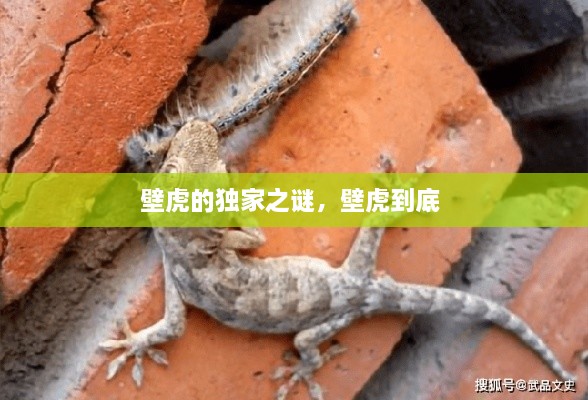 百不一遇