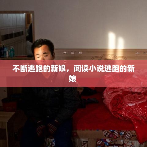 不斷逃跑的新娘，閱讀小說逃跑的新娘 