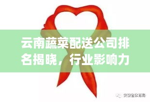 云南蔬菜配送公司排名揭曉，行業(yè)影響力大揭秘！