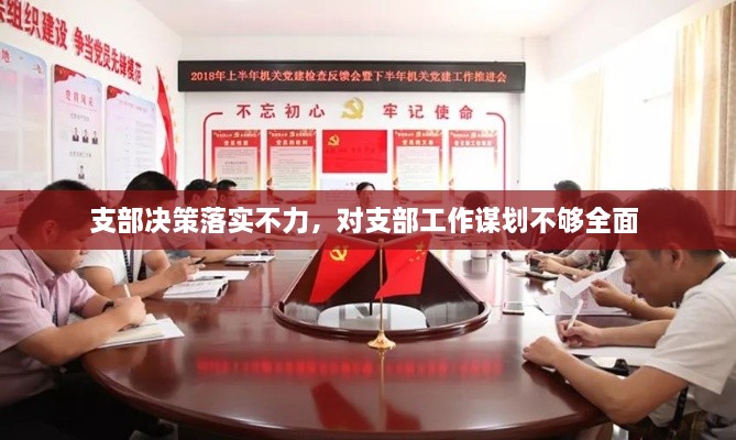 支部決策落實不力，對支部工作謀劃不夠全面 