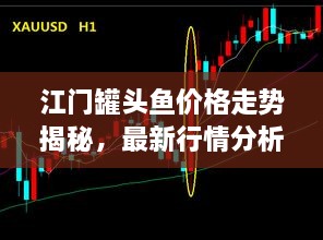 江門(mén)罐頭魚(yú)價(jià)格走勢(shì)揭秘，最新行情分析