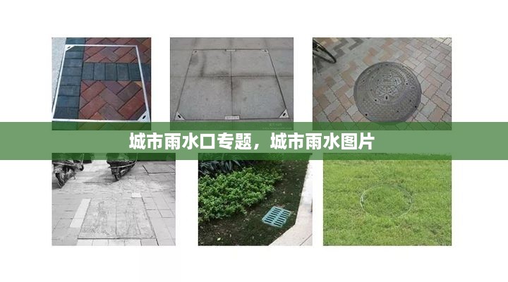 城市雨水口專題，城市雨水圖片 