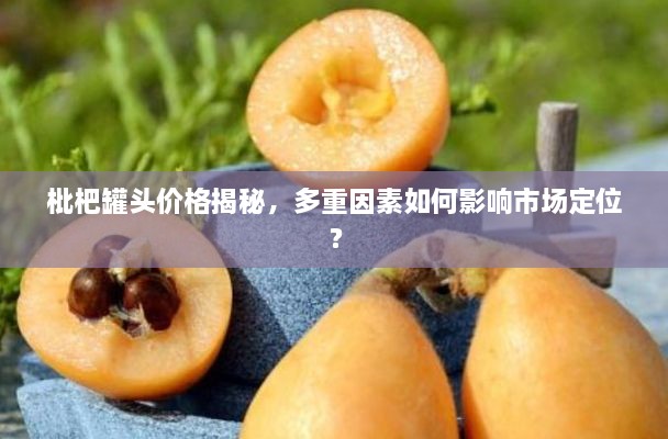 枇杷罐頭價(jià)格揭秘，多重因素如何影響市場(chǎng)定位？