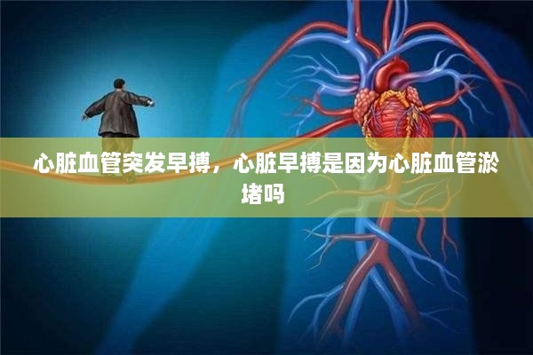 心臟血管突發(fā)早搏，心臟早搏是因?yàn)樾呐K血管淤堵嗎 