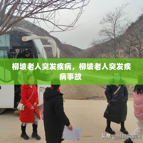 柳坡老人突發(fā)疾病，柳坡老人突發(fā)疾病事故 