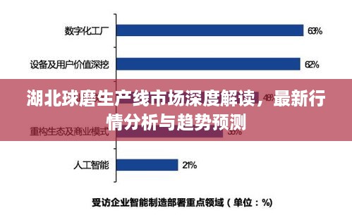 湖北球磨生產(chǎn)線市場(chǎng)深度解讀，最新行情分析與趨勢(shì)預(yù)測(cè)