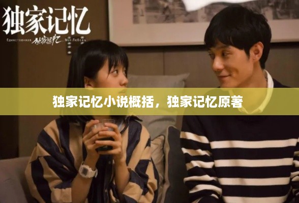 獨家記憶小說概括，獨家記憶原著 