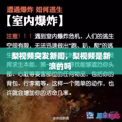 梨視頻突發(fā)新聞，梨視頻是新浪的嗎 