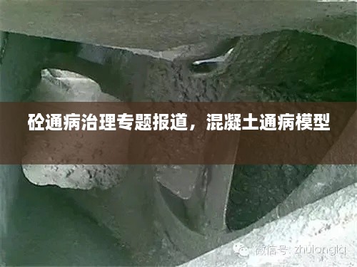 砼通病治理專題報道，混凝土通病模型 