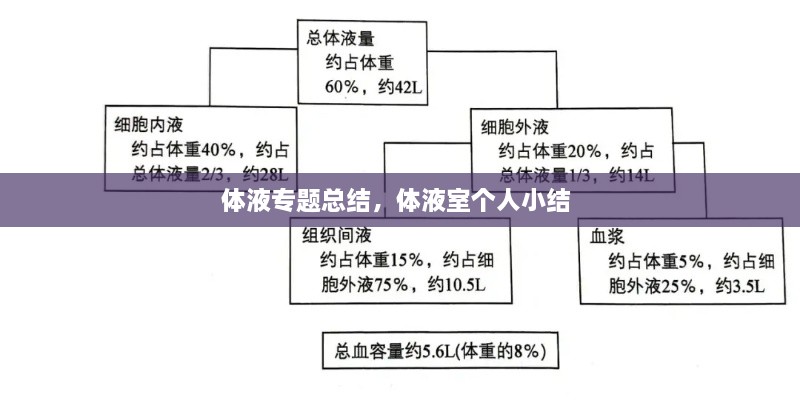 體液專題總結(jié)，體液室個(gè)人小結(jié) 