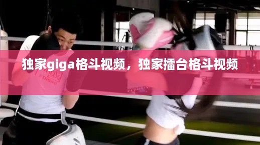 獨家giga格斗視頻，獨家擂臺格斗視頻 