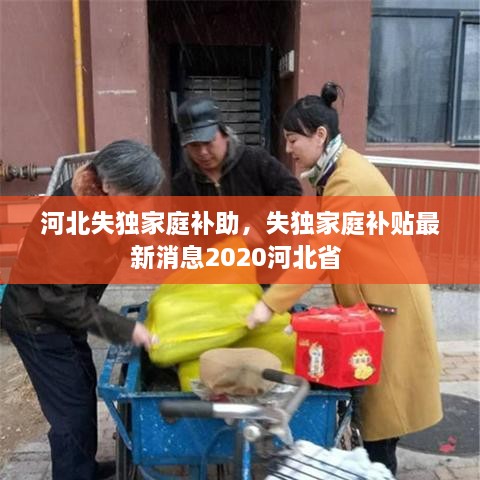 河北失獨(dú)家庭補(bǔ)助，失獨(dú)家庭補(bǔ)貼最新消息2020河北省 