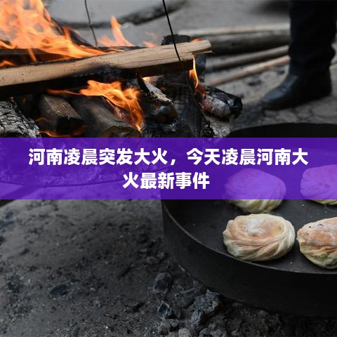 河南凌晨突發(fā)大火，今天凌晨河南大火最新事件 