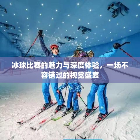 冰球比賽的魅力與深度體驗(yàn)，一場不容錯(cuò)過的視覺盛宴