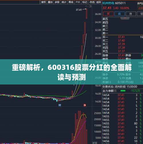 重磅解析，600316股票分紅的全面解讀與預(yù)測(cè)