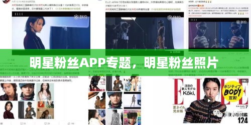 明星粉絲APP專題，明星粉絲照片 