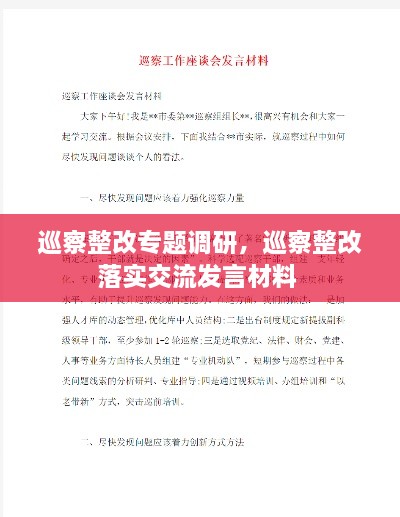 巡察整改專題調(diào)研，巡察整改落實(shí)交流發(fā)言材料 