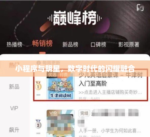 小程序與明星，數(shù)字時(shí)代的閃耀融合