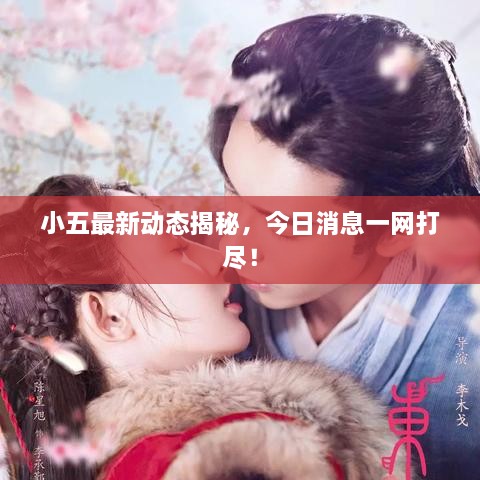小五最新動(dòng)態(tài)揭秘，今日消息一網(wǎng)打盡！