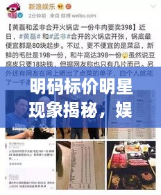 明碼標價明星現(xiàn)象揭秘，娛樂圈的新挑戰(zhàn)與觀察